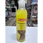 Shampoo beaphar Aloe vera for dogs 250ml.
